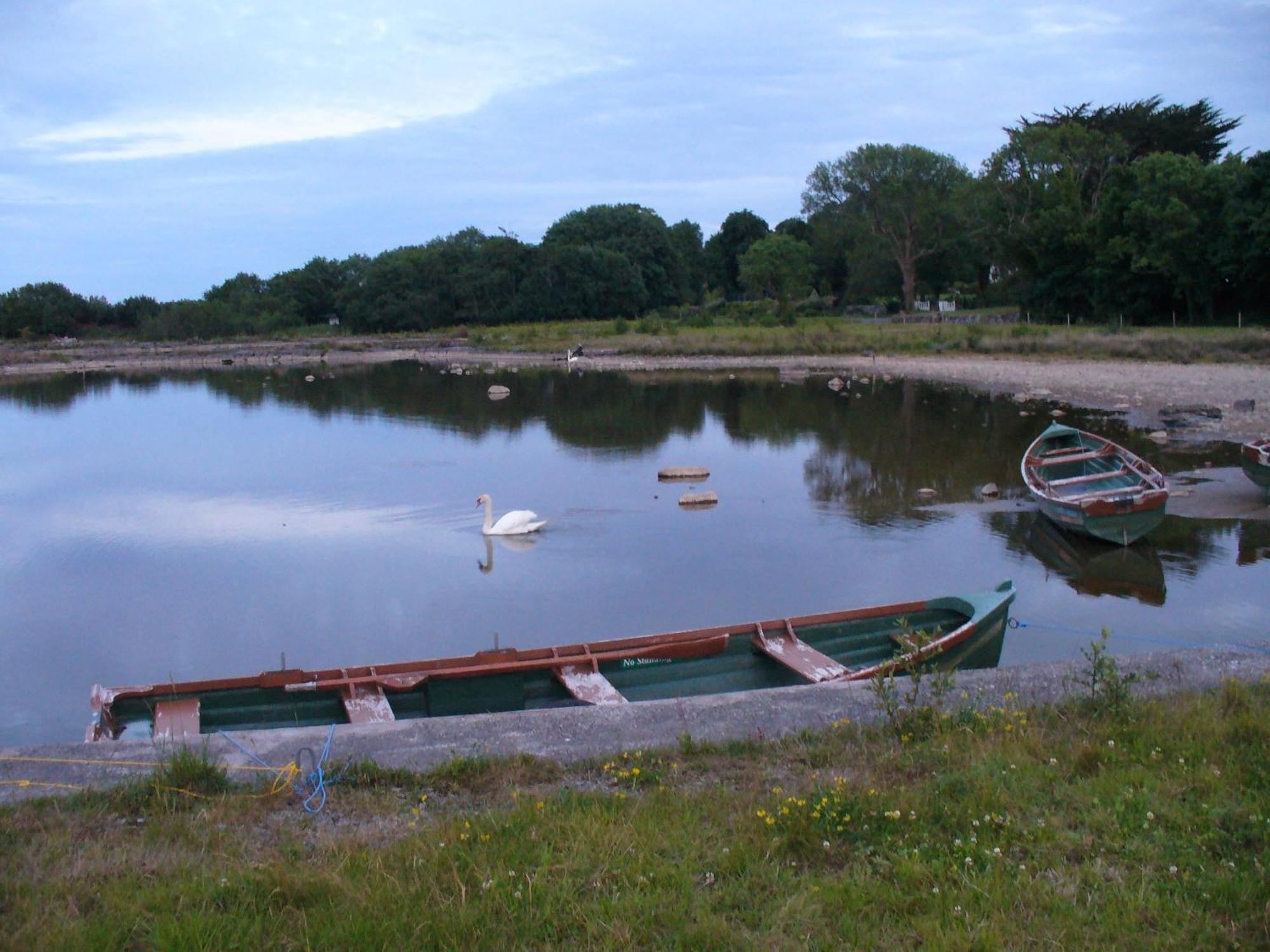 The Waterfront House Country Home Oughterard Bagian luar foto