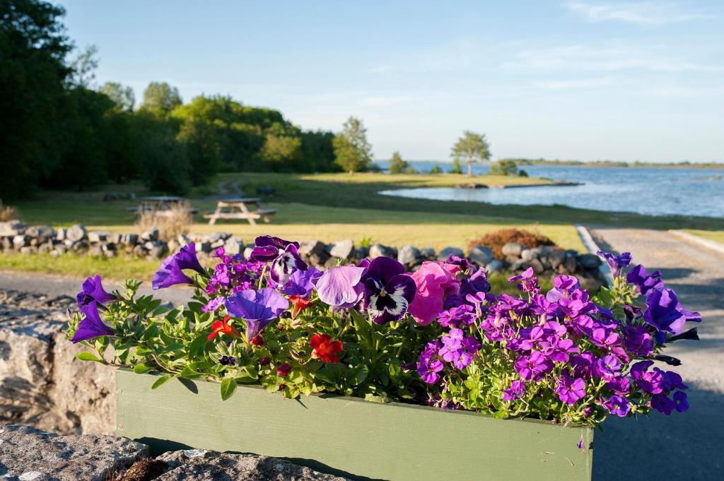 The Waterfront House Country Home Oughterard Bagian luar foto